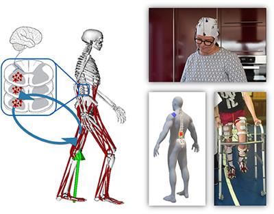 Adaptation Strategies for Personalized Gait Neuroprosthetics